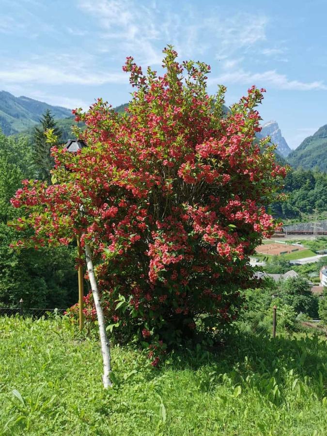 Im Nationalpark Gesaeuse *