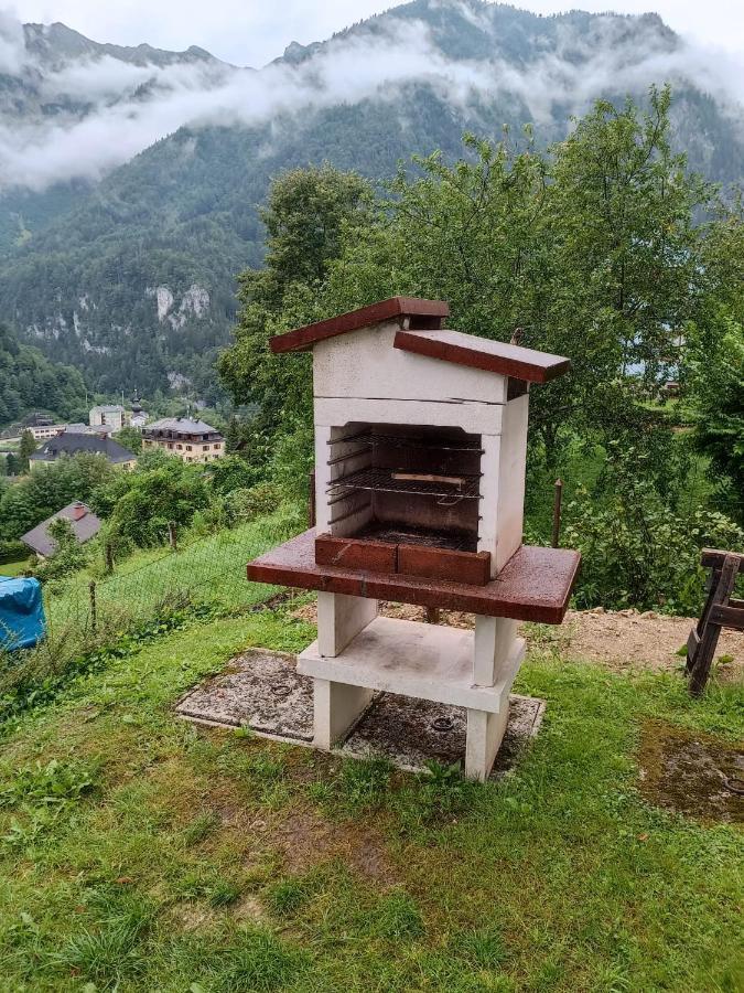 Apartment Im Nationalpark Gesaeuse